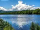 قهرمانی آنیل 10ساله  در ماجرای واژگونی قایق + عکس