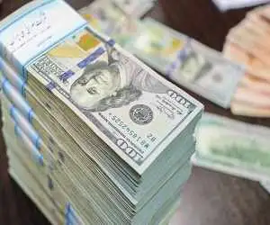 ارزهای خانگی در مسیر تولید  -  اولین صندوق سرمایه گذاری ارزی شروع به کار کرد