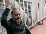 تازه ترین موفقیت بین المللی (تا 10 بشمار) در آمریکا