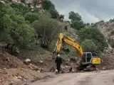 سرنوشت سیاه بلوط  های یاسوج  -  جاده  ای که قرار است از منطقه حفاظت  شده بگذرد، هنوز مجوز محیط  زیست ندارد