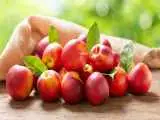 با این میوه تابستانی به جنگ بیماری ها بروید