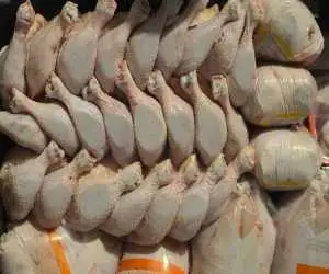 قیمت مرغ در بازار اعلام شد؛ سنگدان، بال و کتف کیلویی چند؟