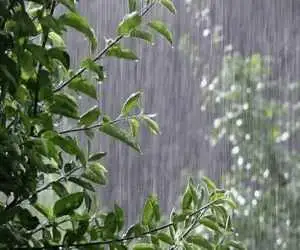 کاهش دمای هوا در راه است  -   بارش ها از پنجشنبه در سواحل خزر شروع می شود؛ پیش بینی وضعیت هوای پایتخت تا پایان هفته
