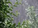 کاهش دمای هوا در راه است  -   بارش ها از پنجشنبه در سواحل خزر شروع می شود؛ پیش بینی وضعیت هوای پایتخت تا پایان هفته