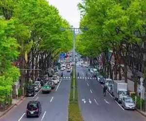 سرزمین خودروهای کوچک، در قلب صنعت خودروسازی  -  چرا در  ژاپن لندکروز سوار نمی شوند؟