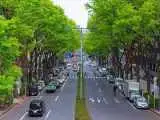 سرزمین خودروهای کوچک، در قلب صنعت خودروسازی  -  چرا در  ژاپن لندکروز سوار نمی شوند؟
