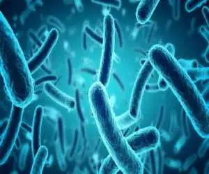 تفاوت آنفلوآنزای معده با مسمومیت غذایی