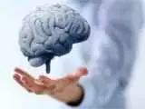 4 کار ساده برای سالم نگه داشتن مغز  -  عاداتی که نباید دست کم بگیرید