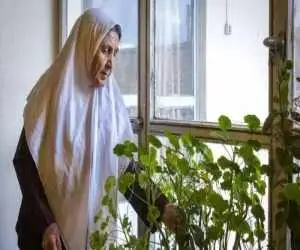 نسخه ساده برای سالمندی سالم  و شاداب ؛ از این عادت ها آغاز کنید