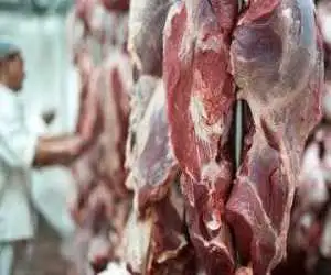 گوشت ها تاریخ مصرف گذشته در بندرها؛ چه کسی کوتاهی کرده؟  -  اضافه شدن 9 میلیارد تومان به قیمت برنج های ترخیص نشده