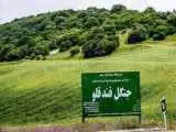 حکم بی  سابقه برای تخریب جنگل  -  قاچاقچیان چوب تبعید شدند