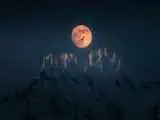 شکار پرندگان با دوربین  -  مروری بر قاب های برتر بزرگ ترین رویداد عکاسی حیات وحش هوایی در 8بخش رقابتی