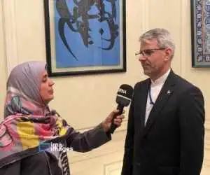 بقائی: گمانه زنی های رسانه ای درمورد جزئیات گفت وگوها با میانجی  قطری نادرست است