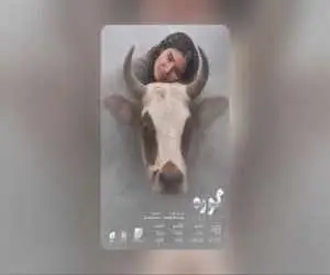 پوستر (گوره) رونمایی شد -  رقابت در 2 بخش اصلی جشنواره فیلم کوتاه تهران