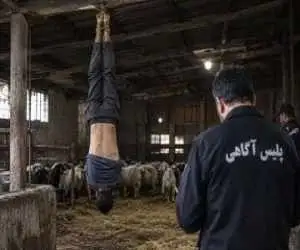 قتل مرد 40 ساله در یک طویله در یافت آباد -  اختلاف بر سر ناپدید شدن تعدادی گوسفند