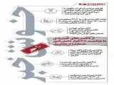 خوش خبرهای امروز -  از ورود تاکسی های هیبریدی به تهران تا بازگشت 48 هزار دانش آموز بازمانده از تحصیل  -  اینفوگرافیک