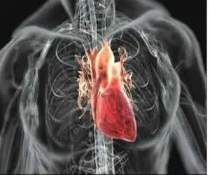 دریچه قلب مصنوعی که همگام با بیمار رشد می کند