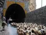 هشدار به مسافران؛ محور کندوان 2 روز بسته می شود