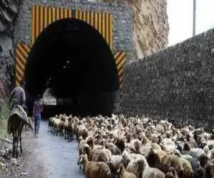 هشدار به مسافران؛ محور کندوان 2 روز بسته می شود