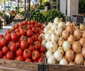 اعلام قیمت گوجه فرنگی و پیاز؛ تفاوت قیمت ها از خرده فروشی تا میادین