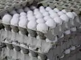 این تخم مرغ ها از بازار جمع آوری می شود + جزئیات