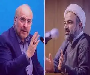 اگر شاکی پرونده حمید رسایی رضایت بدهد ... + ویدئو  -  توضیحات سخنگوی قضا درمورد حکم زندان رسایی
