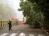 بارش های رگباری، وزش باد شدید و گرد و خاک در 6 استان؛ وزش باد خیلی شدید در تهران از بعداز ظهر امروز