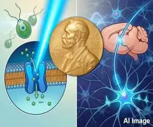نوبل پزشکی 2026 برای کنترل مغز با نور  -  از یک جلبک کوچک تا نورون های مغز