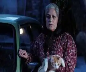 (فصل شیرین) آماده نمایش شد