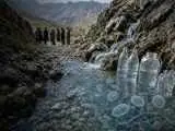 هشدار درمورد آب چشمه ها؛ ردپای دو انگل در منابع آبی سه استان ایران -  (طبیعی بودن آب به منزله سالم بودن آن نیست)