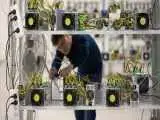 طرح دوفوریتی مجلس برای برخورد با ماینرهای غیرمجاز