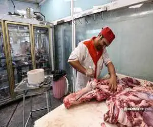 قیمت جدید گوشت قرمز اعلام شد؛ گوشت این حیوانات جایگزین گوشت های وارداتی می شود؟