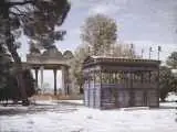 خاطره بازی با شاعر شیرازی
