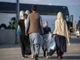 اخراج روزانه 600 تبعه غیرمجاز از ایران  -  برخورد ویژه در شرایط جنگی