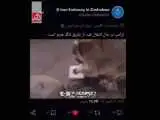 ترامپ در حال انتقال نفت از هرمز! ؛ ویدئویی که سفارت ایران در زیمبابوه منتشر کرد