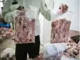 کشف 30 تن گوشت فاسد در کارخانه تولید همبرگر + ویدئو