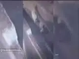 ثبت تصویر حمله پلنگ به سگ خانگی در بندپی+ ویدئو  -  هشدار به اهالی