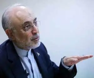 علی اکبر صالحی: میراث تاریخی پلی میان ملت ها و دیپلماسی، پلی به سوی آینده مشترک است 