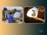 نمایش (شیدور) و (آدریانا مسافری از ایتالیا) در جشنواره (باران)