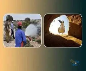 نمایش (شیدور) و (آدریانا مسافری از ایتالیا) در جشنواره (باران)