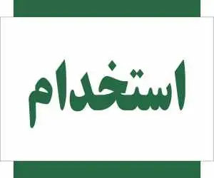استخدام 500 نفر در یک سازمان دولتی + جزئیات