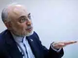 علی اکبر صالحی: میراث تاریخی پلی میان ملت ها و دیپلماسی، پلی به سوی آینده مشترک است 