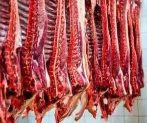 واکنش کاربران به ماجرای عرضه گوشت الاغ و اسب  -  نظارت را جدی بگیرید