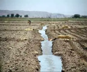 امنیت غذایی زیر فشار هدررفت آب  -  چرا اسناد بالادستی به برنامه  ریزی موثر در کشاورزی نرسیده  است؟
