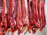واکنش کاربران به ماجرای عرضه گوشت الاغ و اسب  -  نظارت را جدی بگیرید