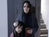 مادری مجرد همراه پسرش که شب ها در انباری محل کارش می خوابد -  فیلم کوتاه (قوها ایستاده می خوابند) در یک کارگاه تولید اسباب بازی های فکری می گذرد