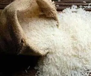 آرسنیک و سموم در برنج؛ این کار ساده را قبل از پخت انجام دهید  -  خیساندن برنج از آلودگی ها کم می کند  -  ترکیبات ضدتغذیه ای برنج را بشناسید