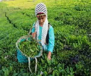 چین سوم