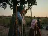 فیلمی که با نرم افزار اکسل نوشته شد!