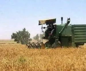 دولت حساب گندم کاران را تسویه کرد